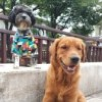 植发星a13790936666