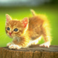  听说名字要长粗