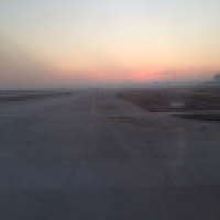 植发星大爱泡椒