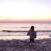 植发星单逸的天使