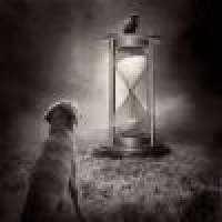 植发星人民游戏淘尽黄