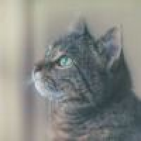 植发星你猜不出我是谁