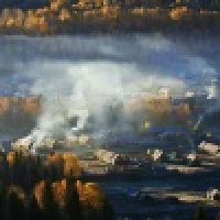 植发星吴小厨碎碎的生活笔记