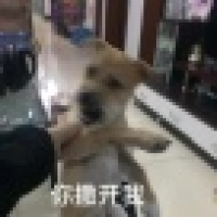 植发星xiao_xing123