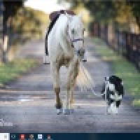 植发星端木俊介