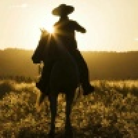 植发星qq492736513