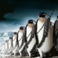 植发星灰太狼恐躺172