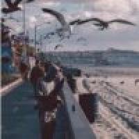 植发星机会还有拉