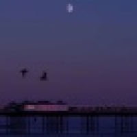 植发星卡萨哈萨克