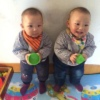 植发星旺仔小烈