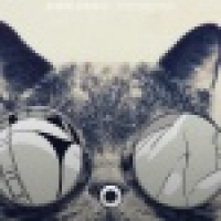 植发星二洋10655