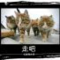 植发星龙舒贡物