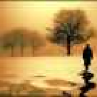 植发星临时抱佛脚2014