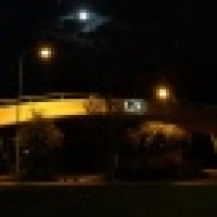 植发星酴lY捠雿