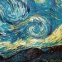 植发星丁小丁29