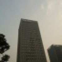 植发星我是桃大酱