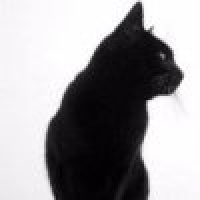 植发星小楠哥0293