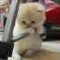 植发星白子壳泵69