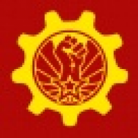 植发星炒鸡凶的小仙女