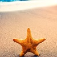 植发星王土土发发发