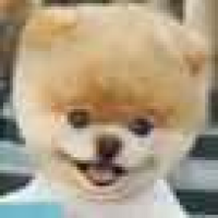 植发星健康的心态0203