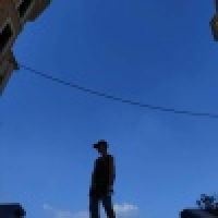 植发星信誉67498炯沃