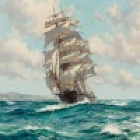 植发星側面奐瞠炟