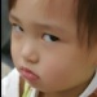 植发星三有二分之四