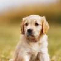 植发星蔚蓝天空152