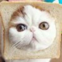 植发星奋斗中的兜兜妈