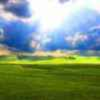 植发星纠缠ay70椒