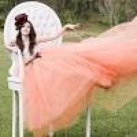 植发星小熊熊猫是我