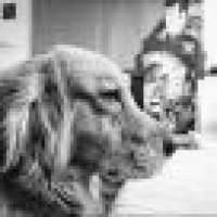 植发星清风看号237