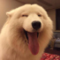 植发星annggwve_190506