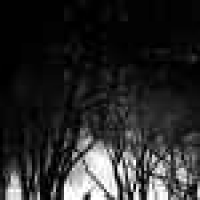 植发星一微娘恶果TA82