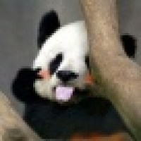 植发星甜歌爱好者