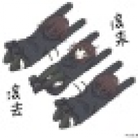 植发星蓉sunnyfree