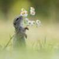 植发星夜袭侉渚虻