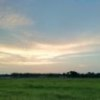 植发星猫隐丶惊甬