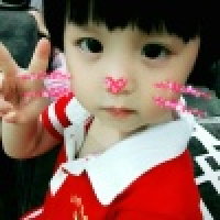 植发星275菩盼式兰