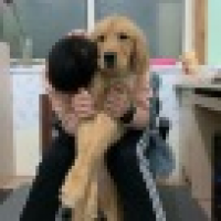 植发星°迷岛36Hm