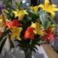 植发星孤独的路灯