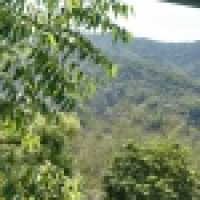 植发星一双两好