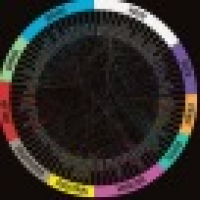 植发星belong_0651