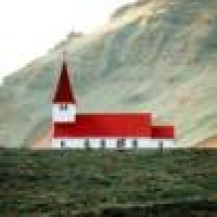 植发星榛子小小严love