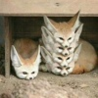 植发星乖乖0163af