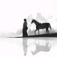 植发星爪机粉丝00308