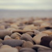 植发星niuxueliang5