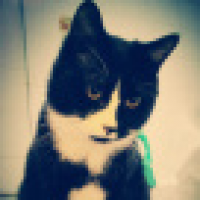 植发星井筒拖盯