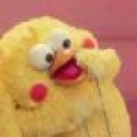 植发星石家庄第151个